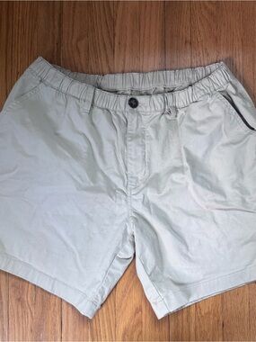 Chubbies Casual Shorts